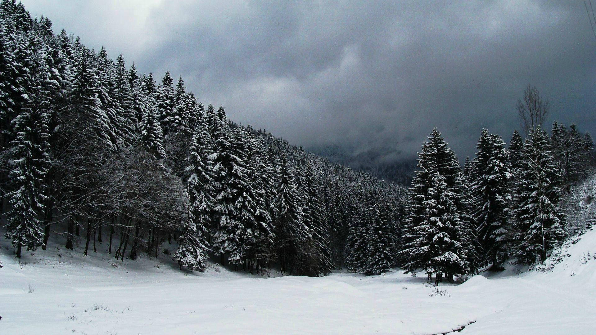 Snow Aesthetic Wallpaper