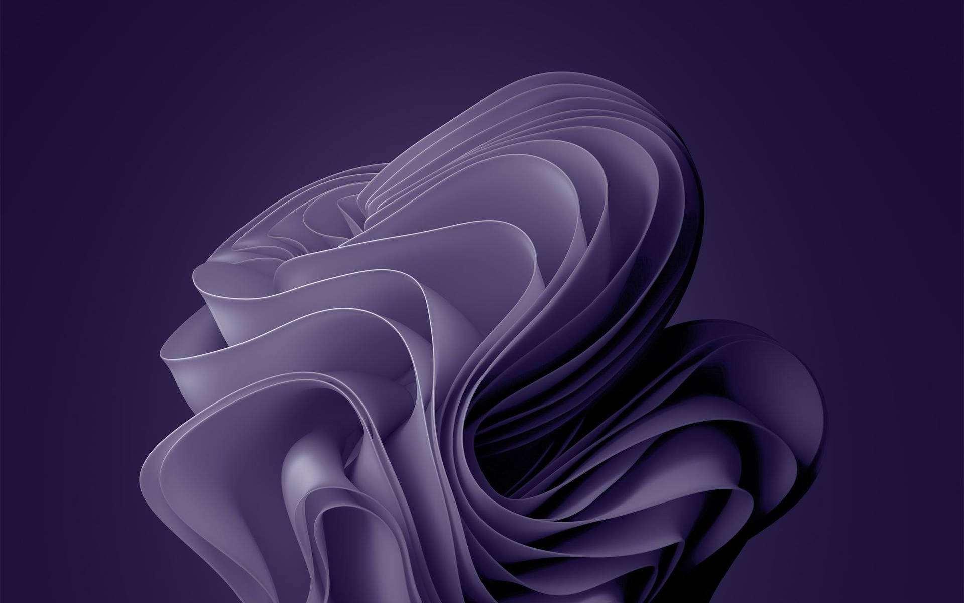Windows Purple Bloom Wallpaper