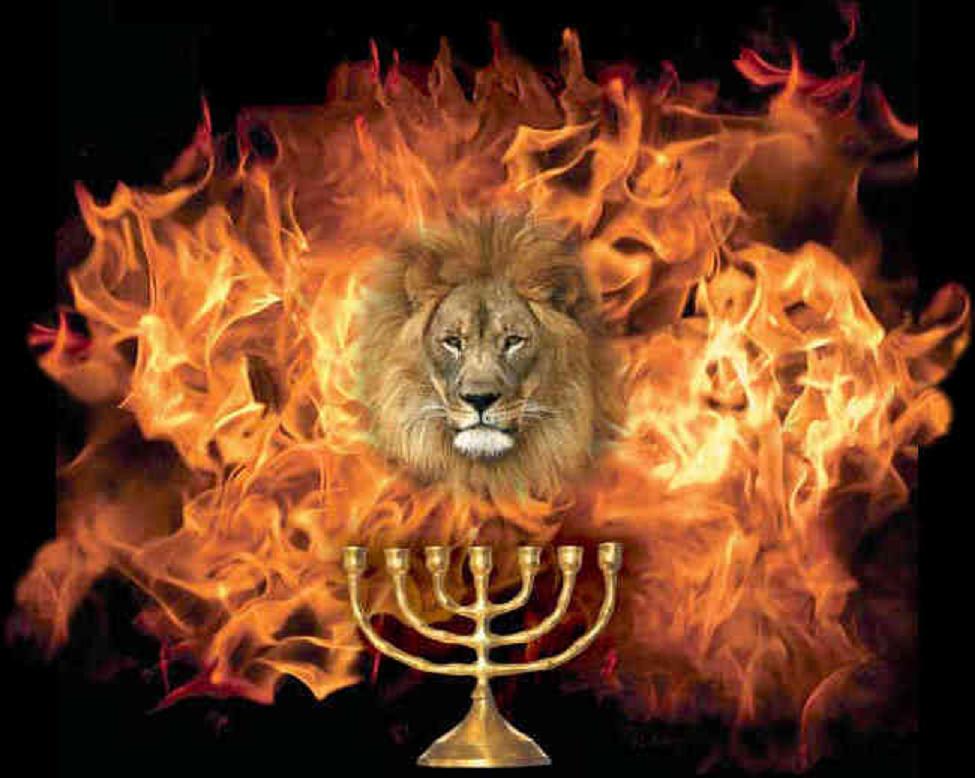 74+] Lion Of Judah Wallpapers - WallpaperSafari
