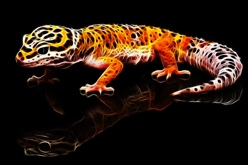 Fractalius Leopard Gecko By Megaossa Fractal Neon Animals