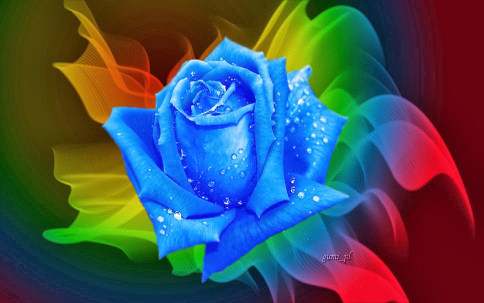 Blue Rose Wallpaper Background High Definition For
