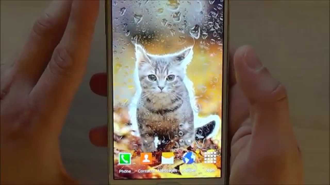 Cute Animals Live Wallpaper Animated Screensaver For Android