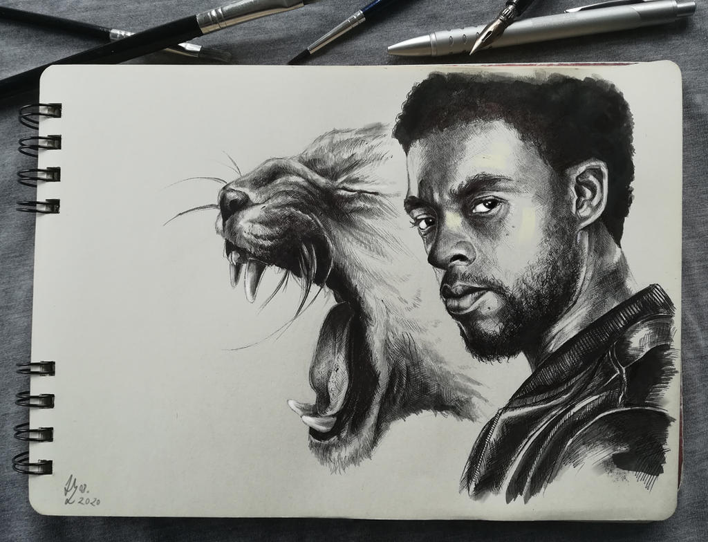Chadwick By Marrannon Wallpaper