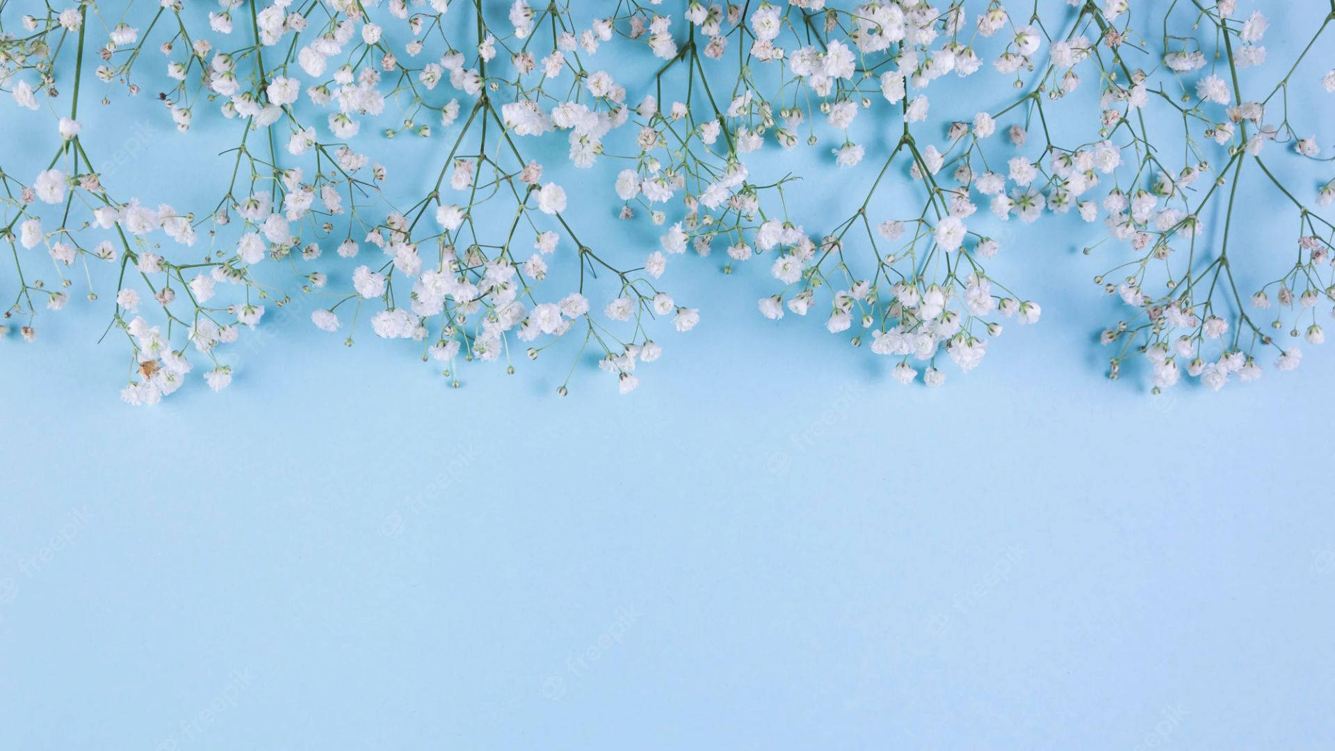 Light Blue Aesthetic Wallpaper