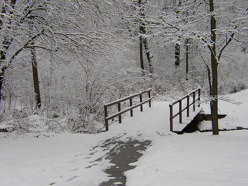 Snow Covered Bridge Photo Sharing