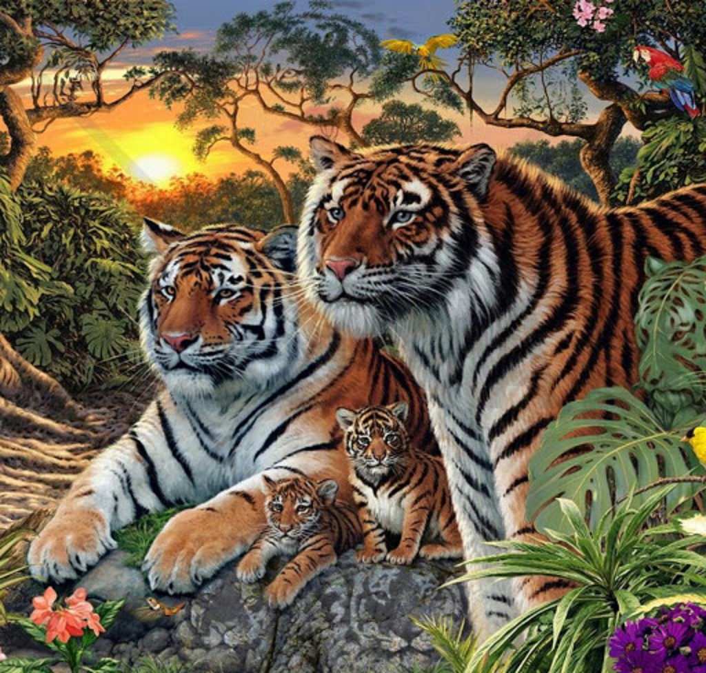 Animal Wallpaper Background Image Creatives