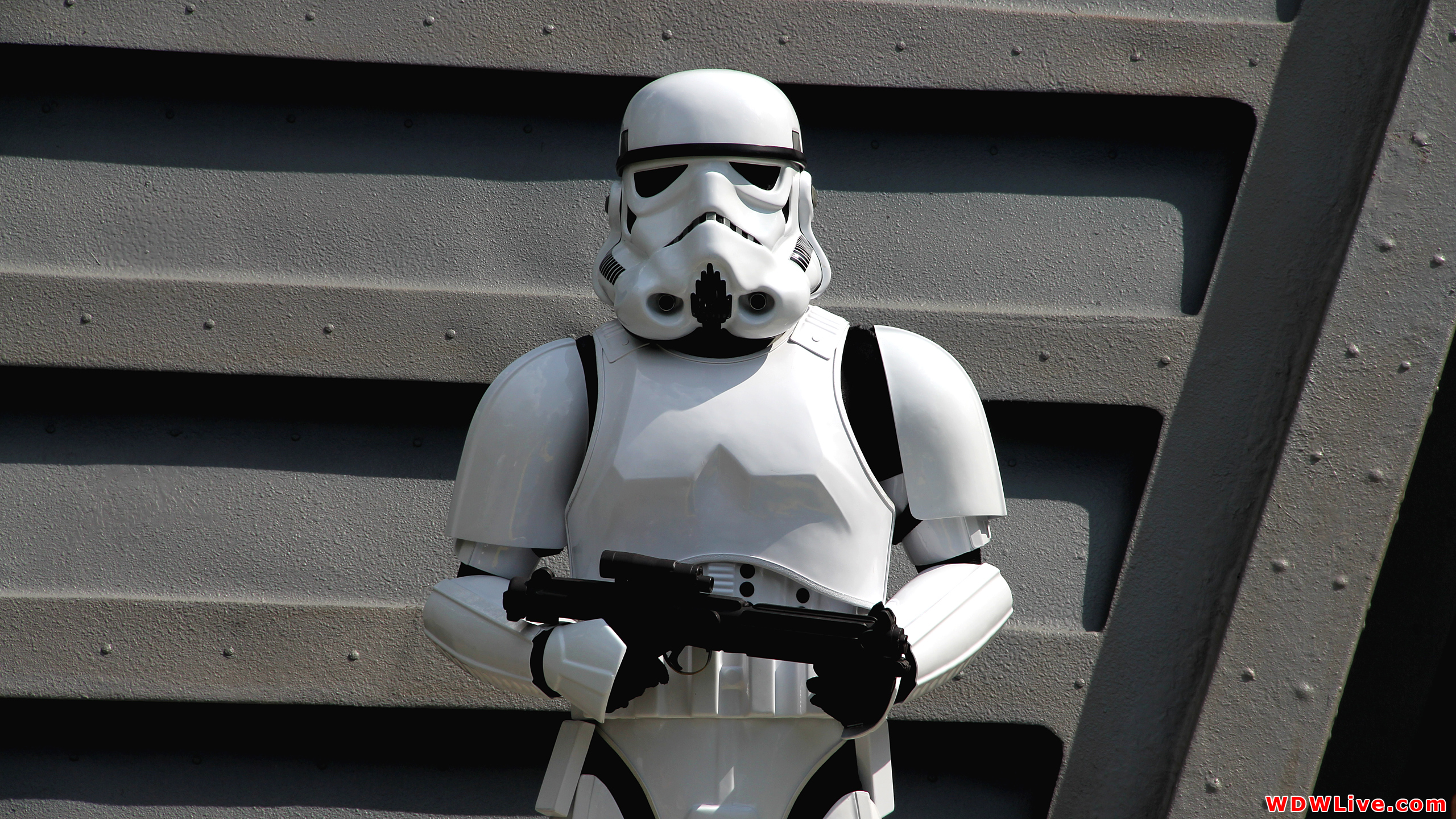 Wars Imperial Stormtrooper Disney Characters World Wallpaper