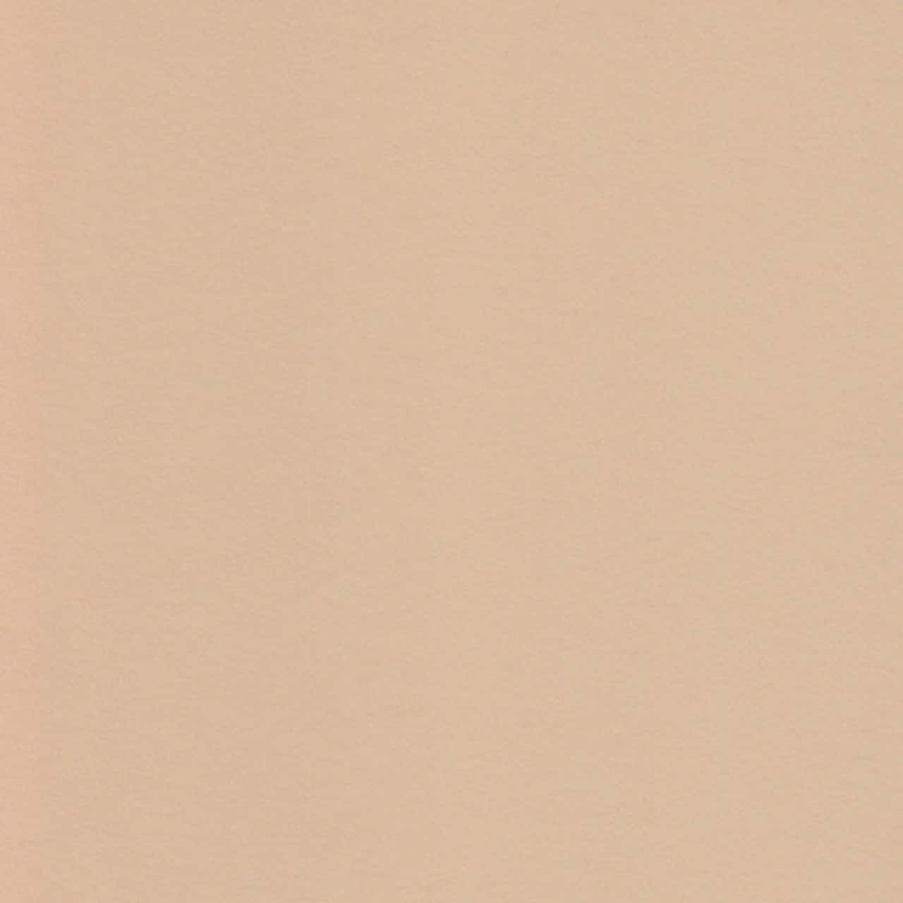 Neutral Color Background Wallpaper