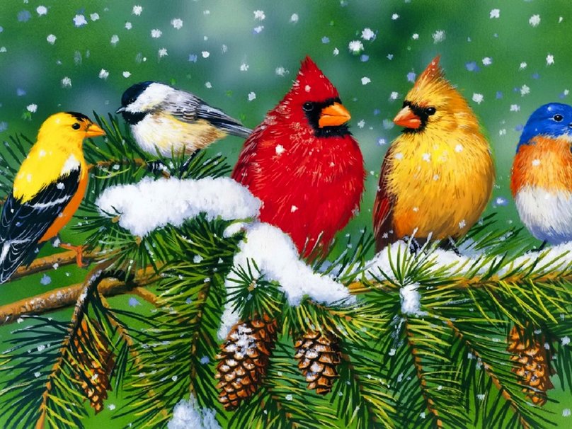 The Birds At Christmas Wallpaper