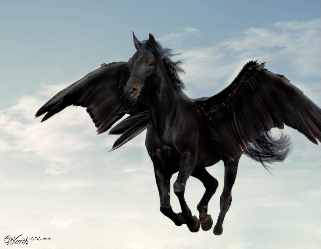 Black Pegasus Worth1000 Contests