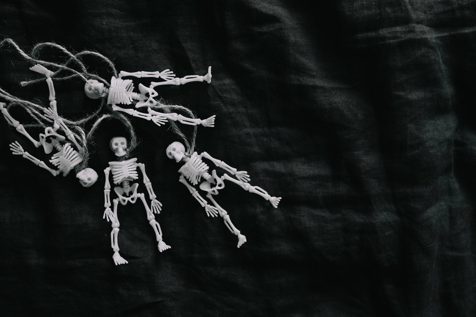Skeleton Desktop Wallpaper