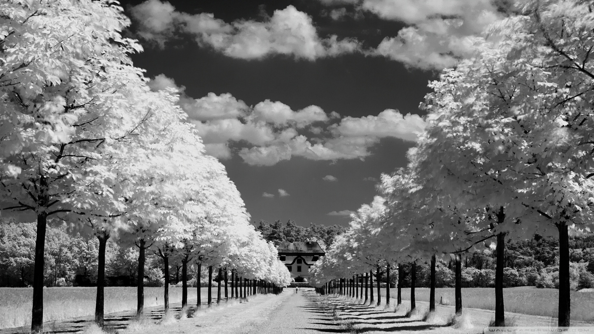 HD Black And White Wallpaper