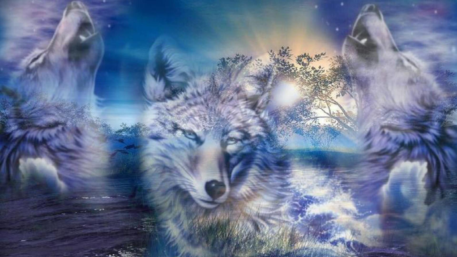 Wolf Desktop Background