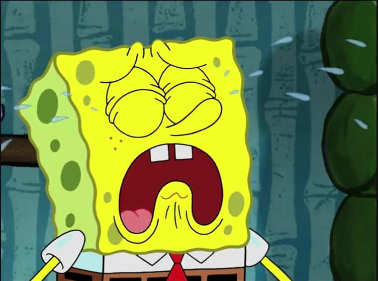 Sad Spongebob Wallpaper