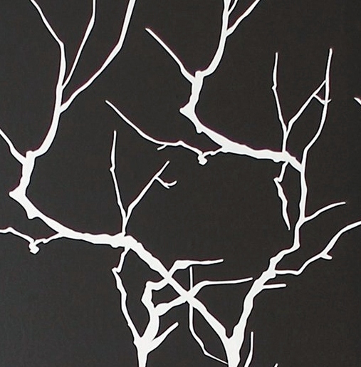 Black And White Branches