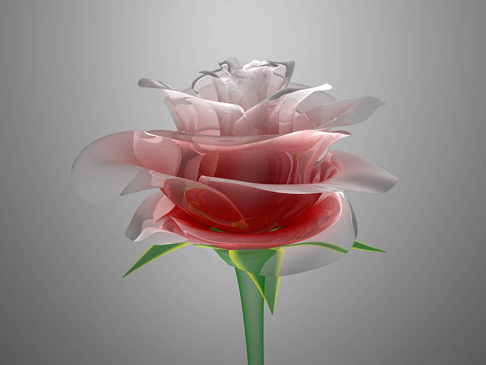 Glass Rose Wallpapers