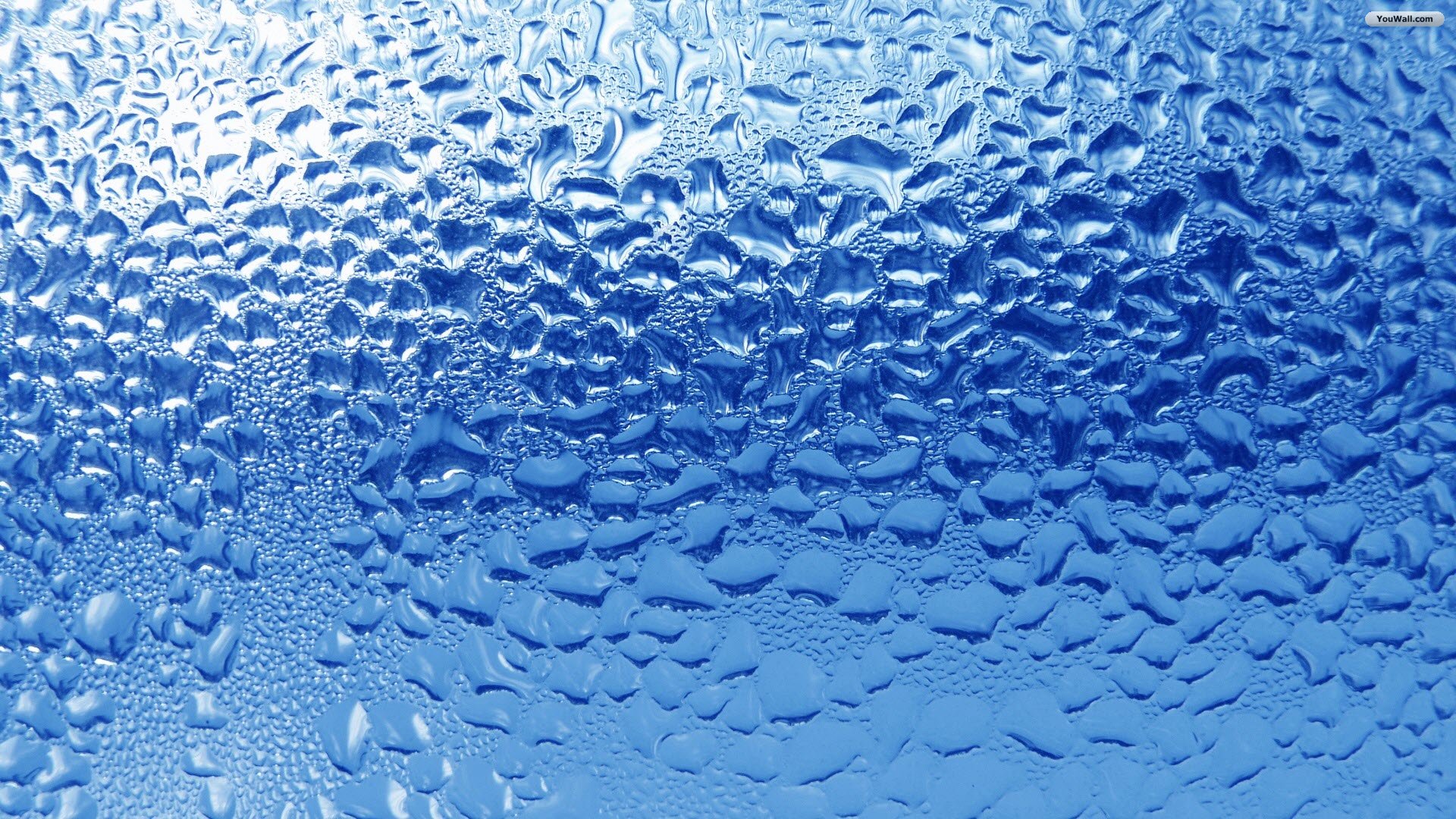 YouWall   Water Drops Wallpaper   wallpaperwallpapersfree wallpaper