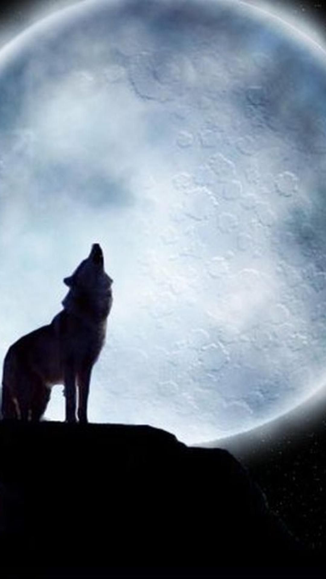 Wolf Wallpaper For iPhone