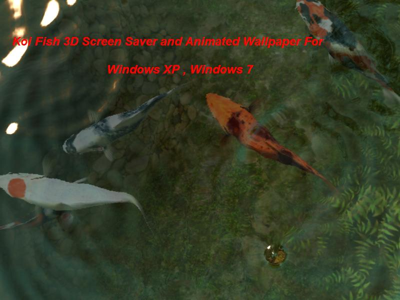 Koi Fish 3d Screen Saver And Animated Wallpaper For Windows