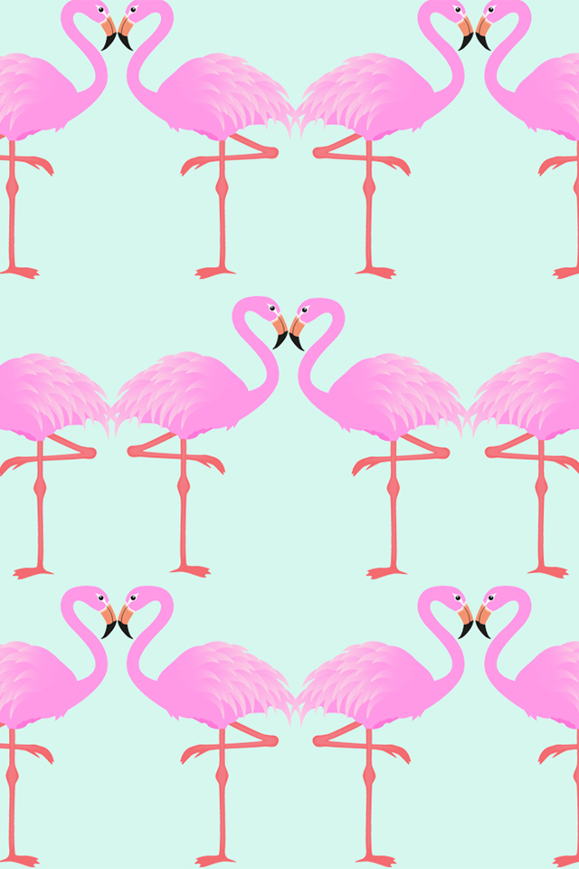 Flamingos iPhone Wallpaper
