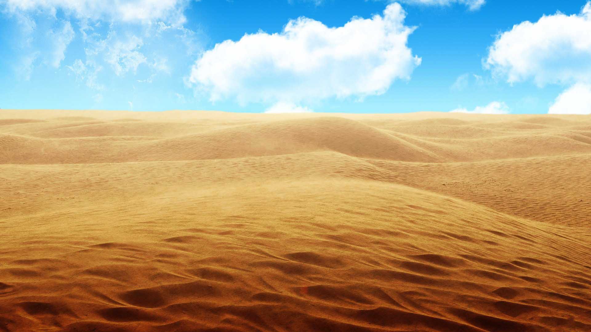 Desert Wallpaper