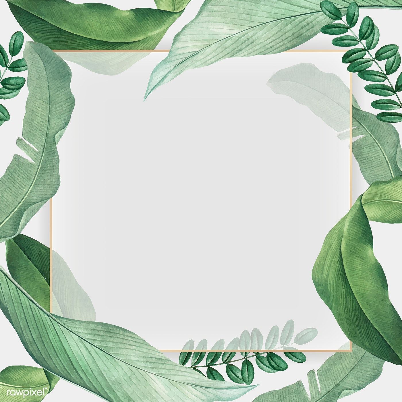 Premium Vector Of Gold Frame On A Tropical Leaves