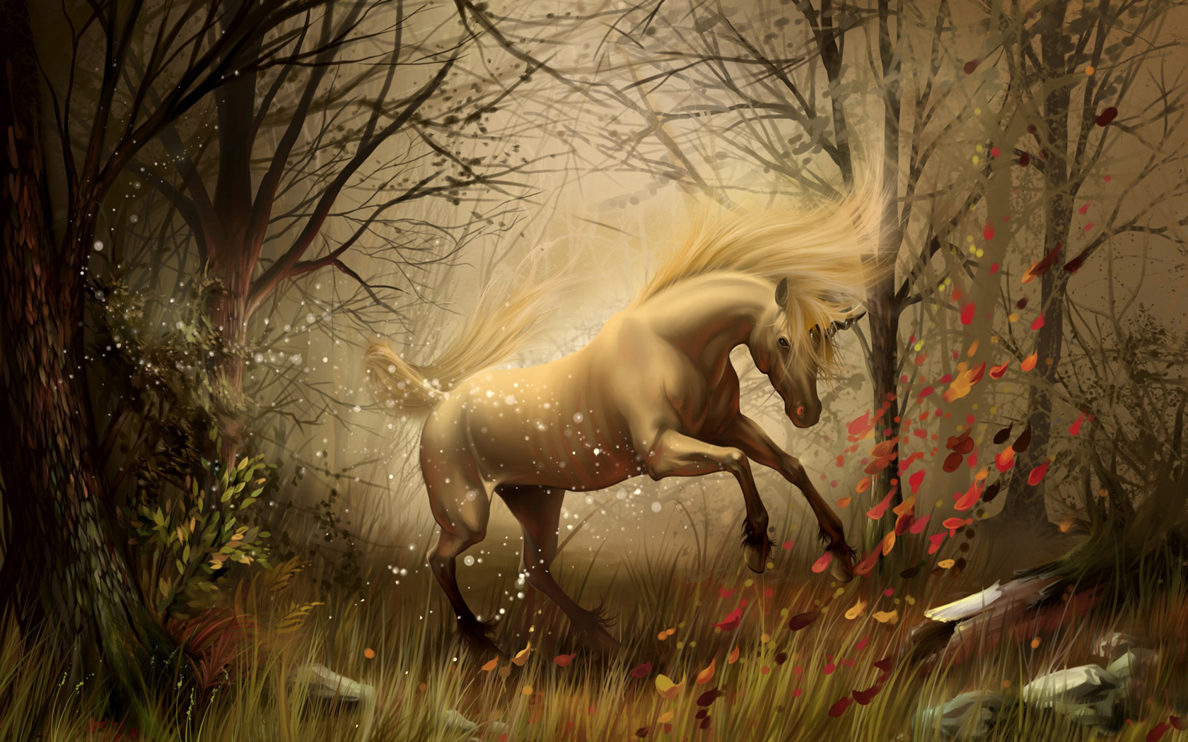 Fantasy Unicorn Puter Desktop Wallpaper Pictures Image