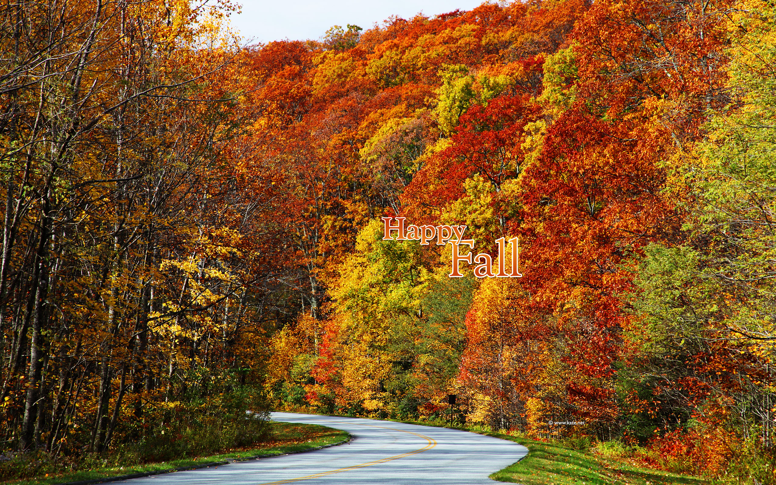 Fall Wallpaper Screensavers And A Quiz By Kate