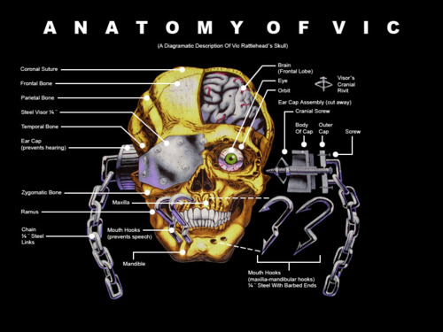 Anatomy Of Vic Rattlehead