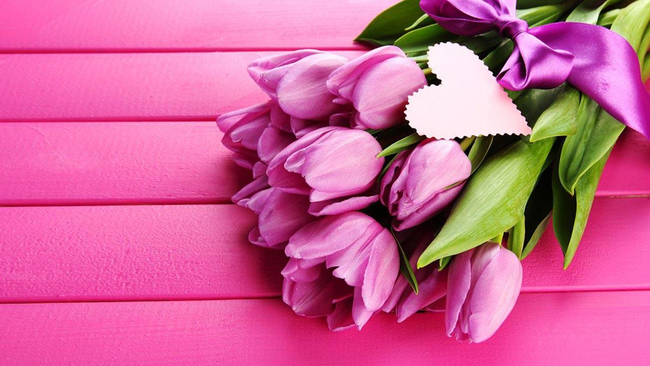 Pink Tulips Live Wallpaper Android Apps And Tests Androidpit