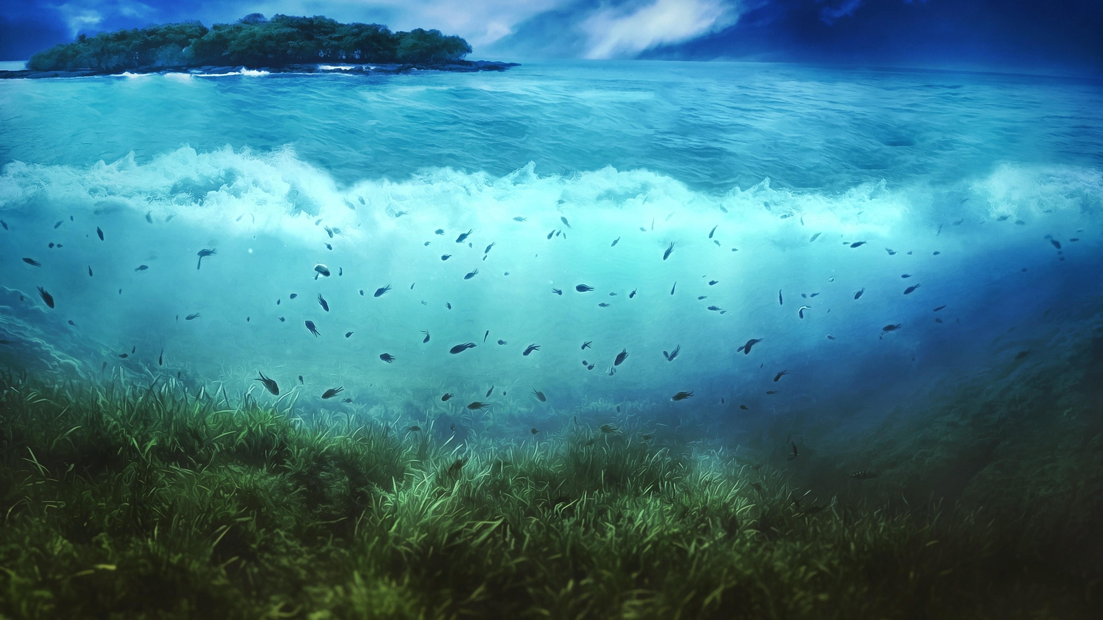 Water Wallpaper