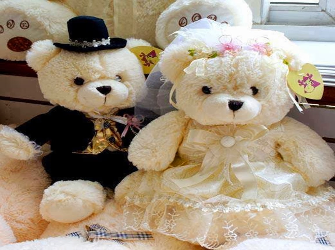 most beautiful teddy