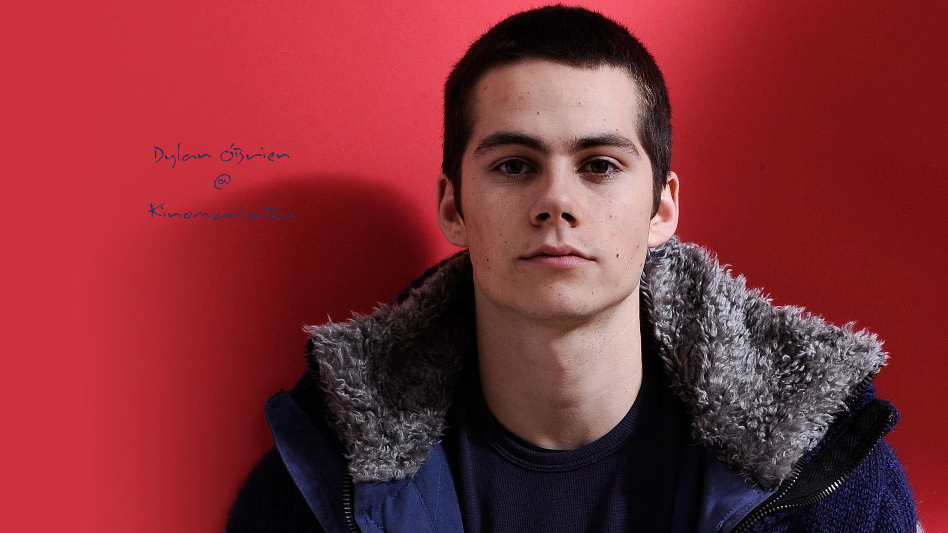 Dylan O Brien Wallpaper Image Photos Pictures Background