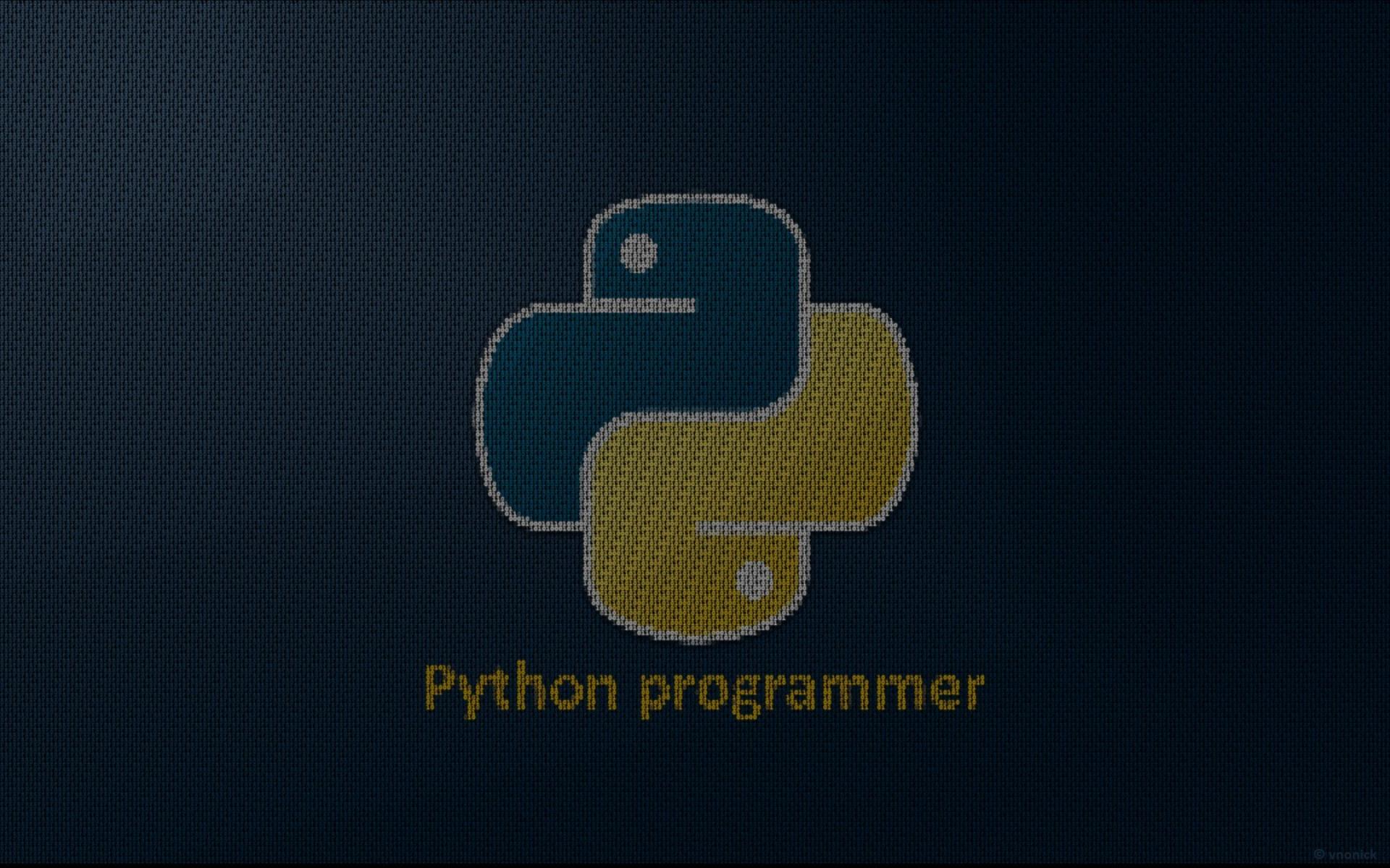 Python programmer wallpaper 56334