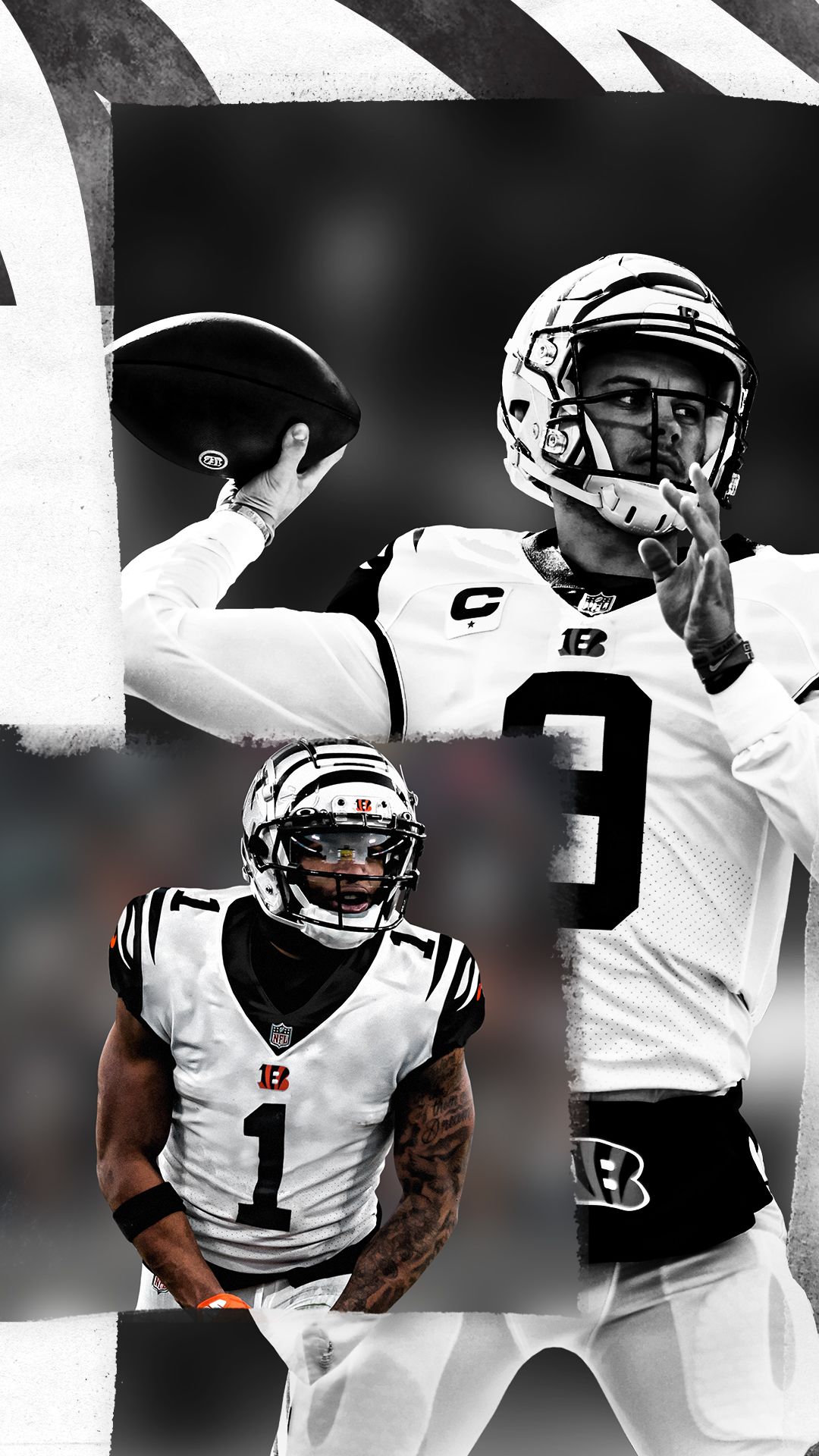 Bengals Wallpaper On