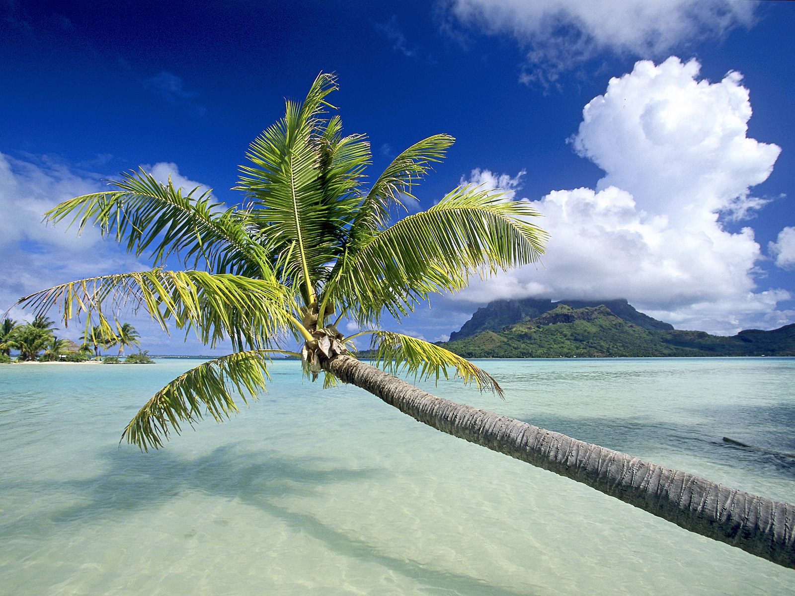 Free download download 1600x1200 tropical island beach scenery green