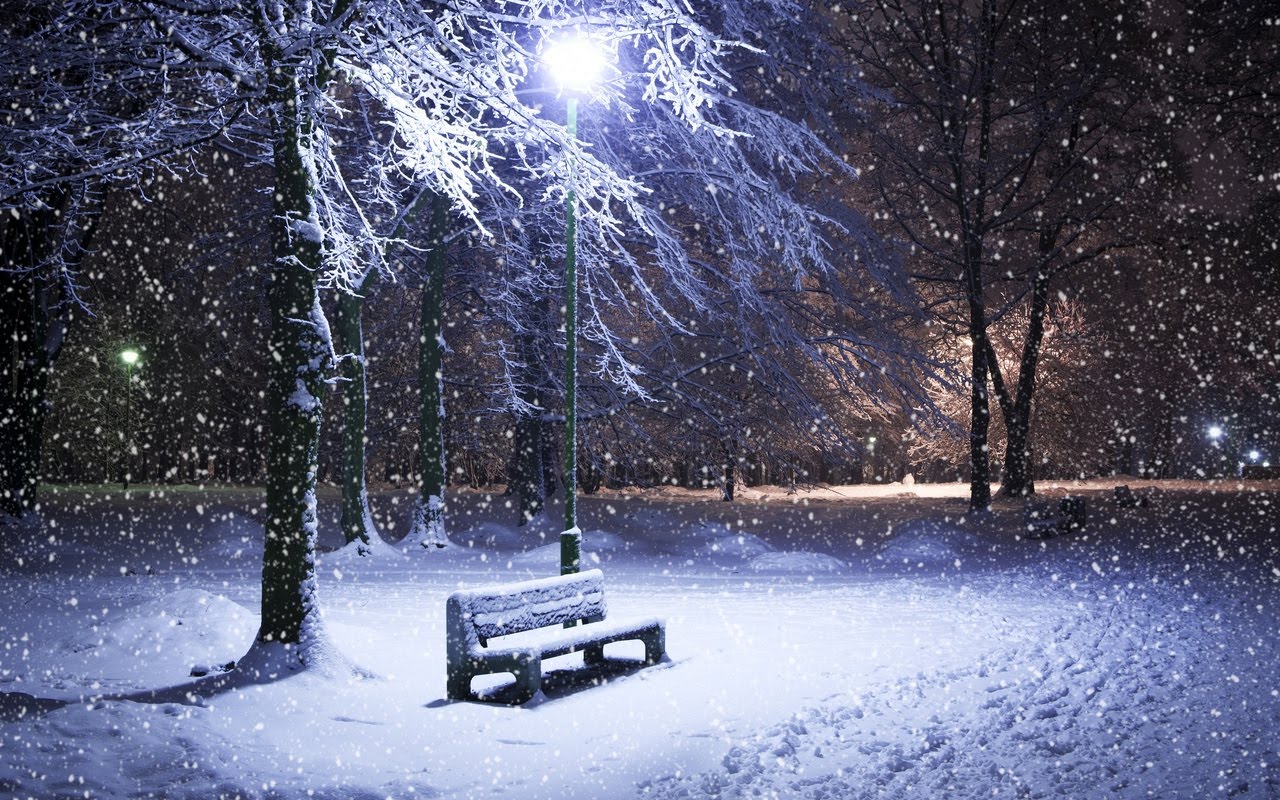 Amazing Winter Night Frozen Tree In HD Desktop Wallpaper