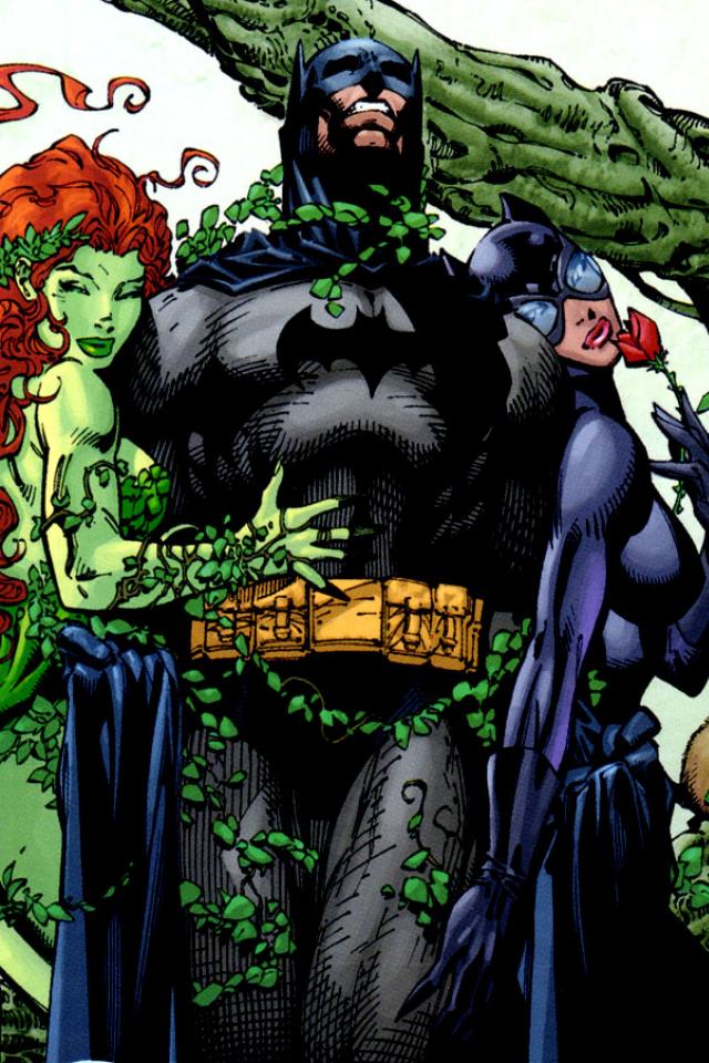 Batman Catwoman Poison Ivy Mobile Resolutions