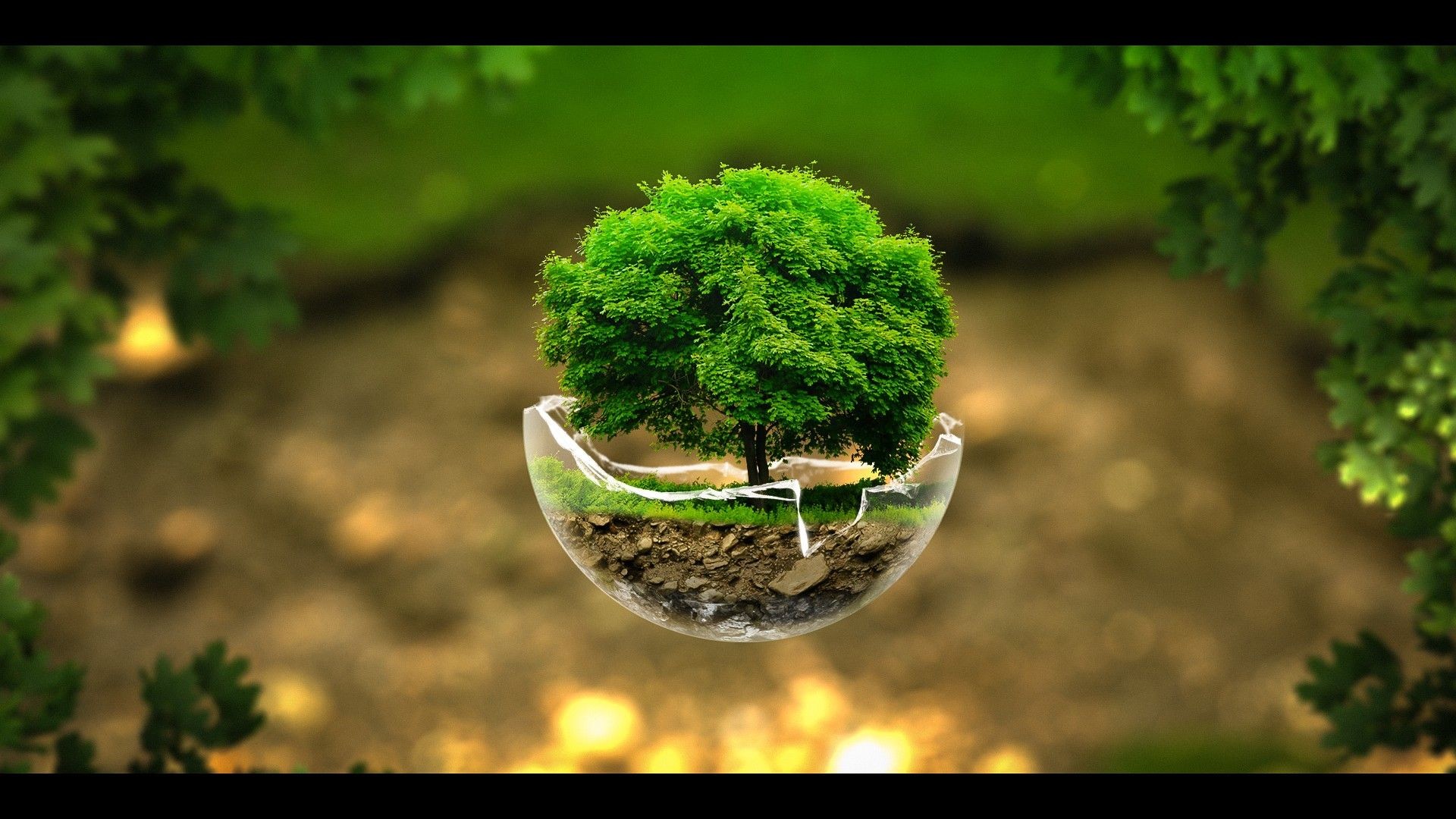 HD Nature Wallpaper