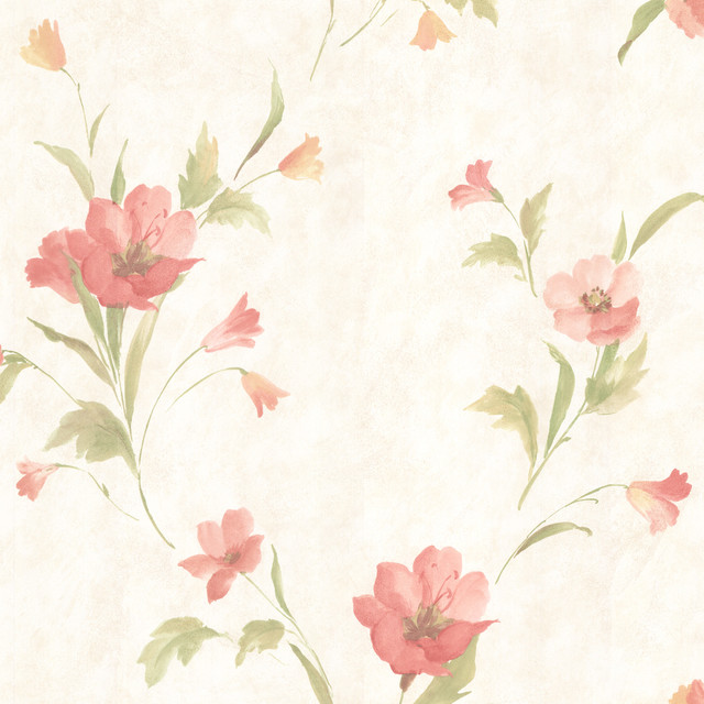 Salmon Color Wallpaper The Colored Flowers