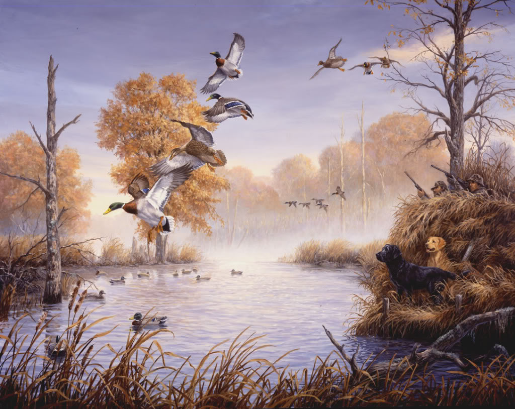 Ducks Unlimited Wallpaper Image