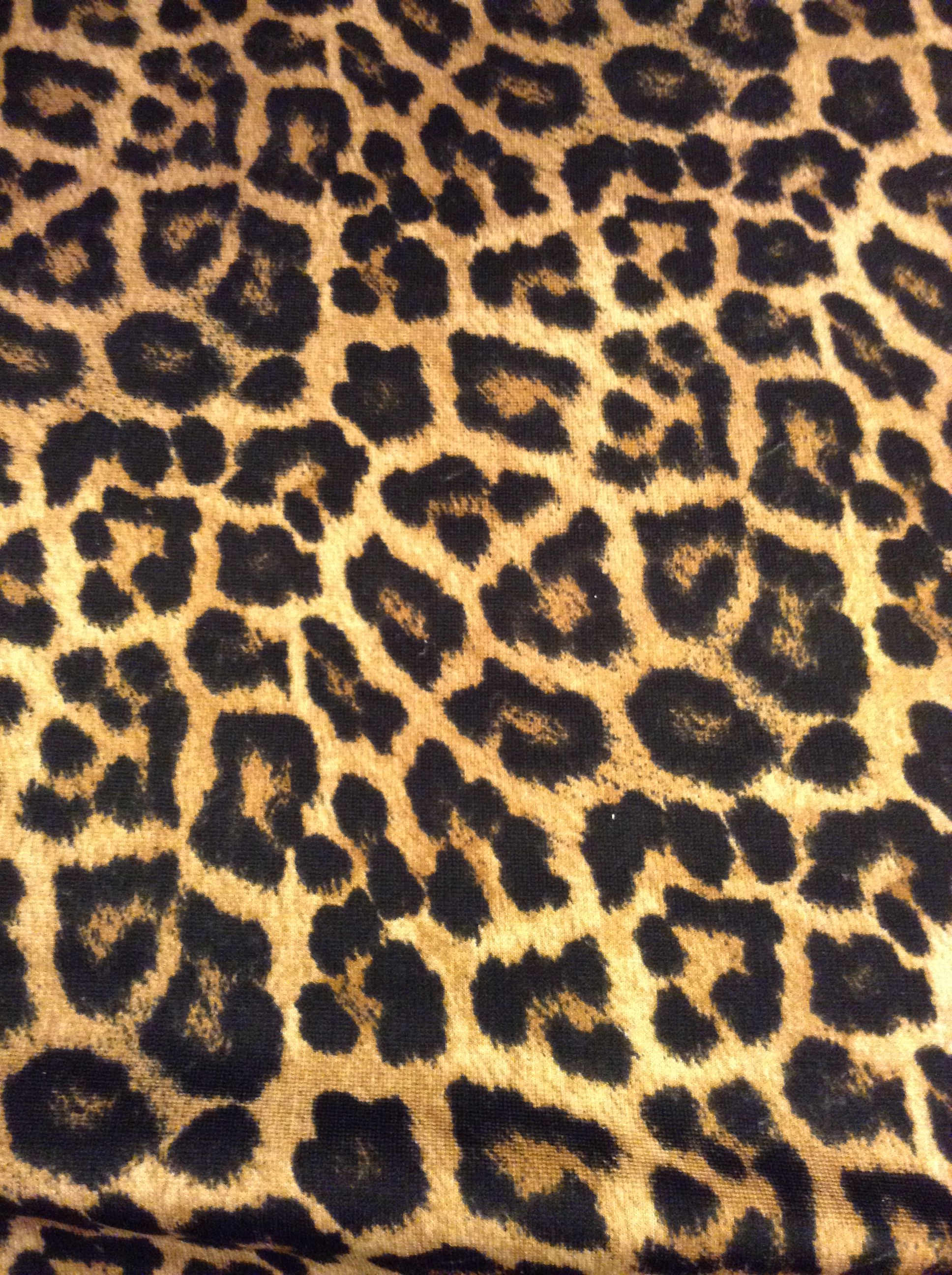 Animal Print Pattern Wallpaper