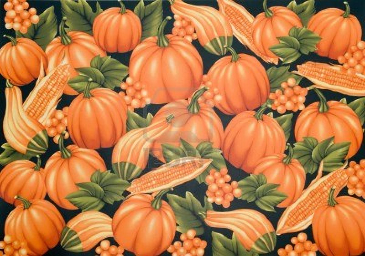 Autumn Pumpkin Background Wallpaper HD