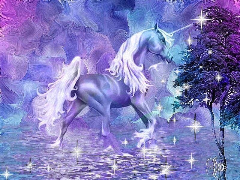 Fantasy unicorn Unicorns Photo