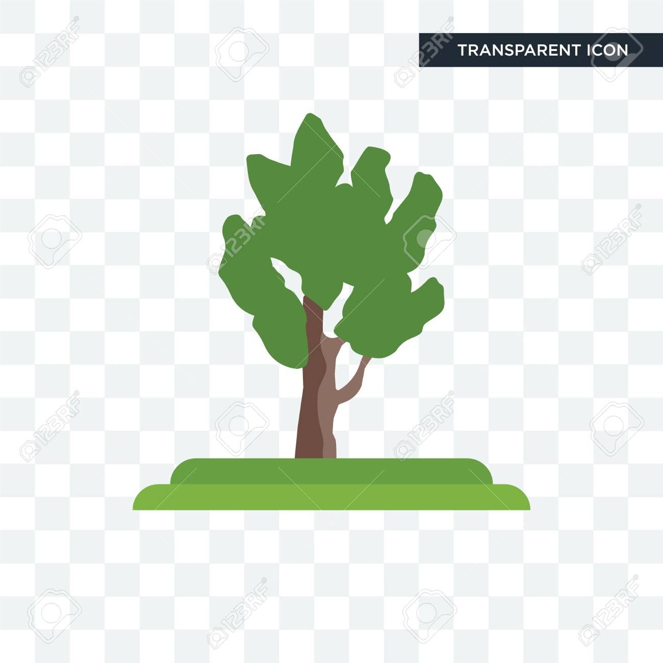 Eastern Cottonwood Tree Vector Icon Isolated On Transparent
