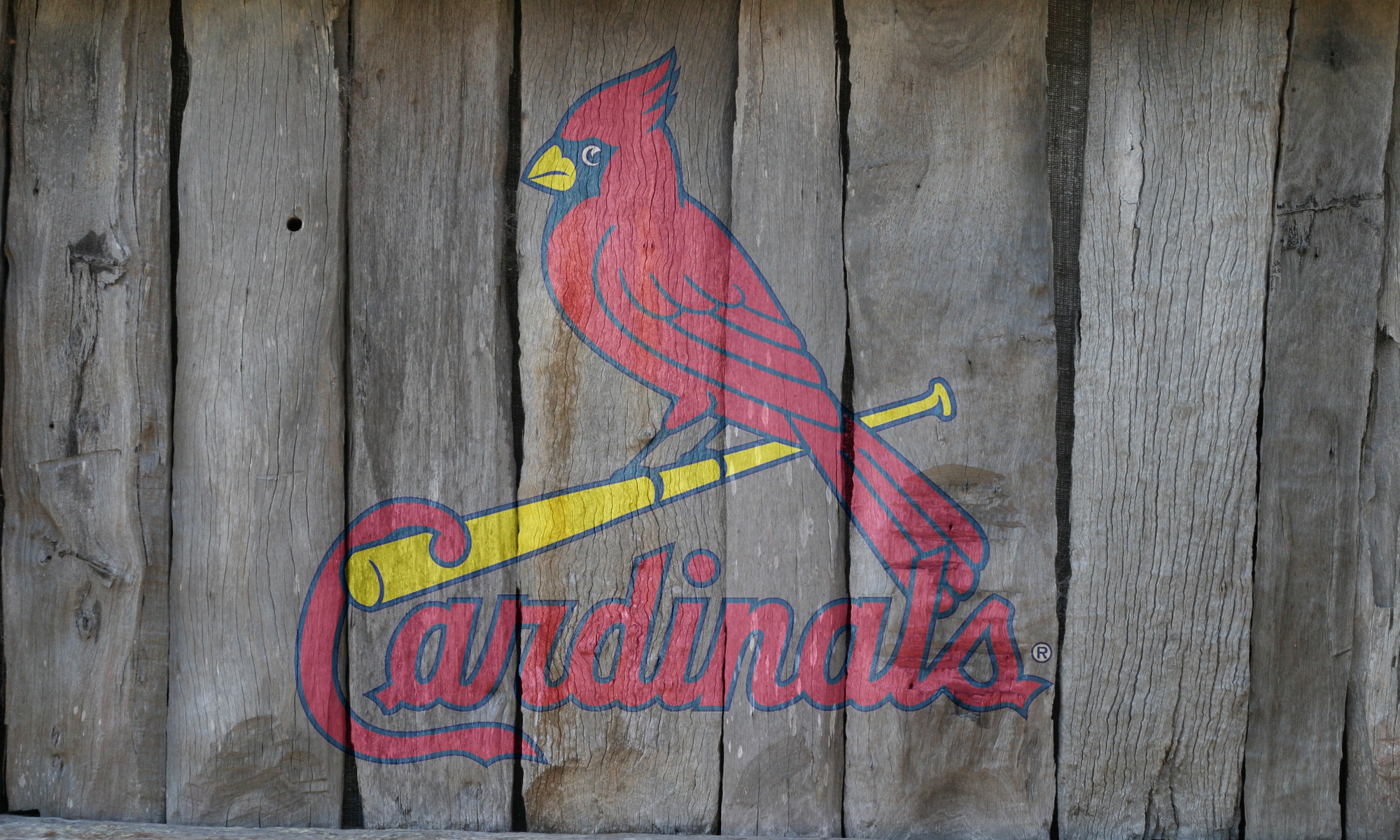 St Louis Cardinals Logo On Wood Fence Background By Oultre