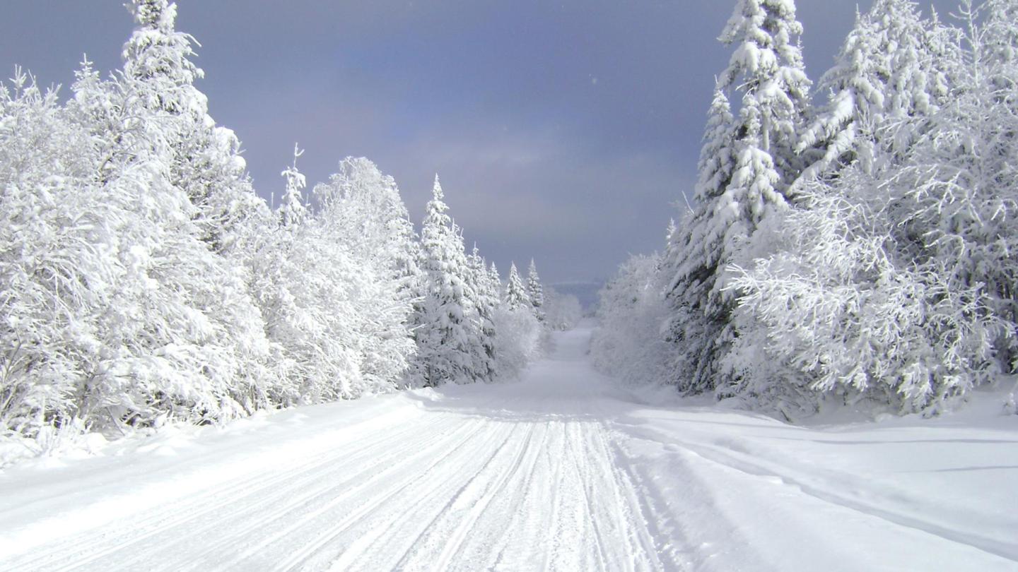 Tis The Season Outdoor Activities For A Wonderful Winter In