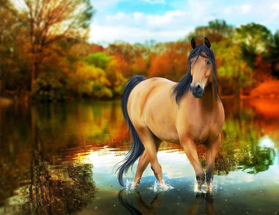 Horse In High Resolution For Get HD Wallpaper Desktop