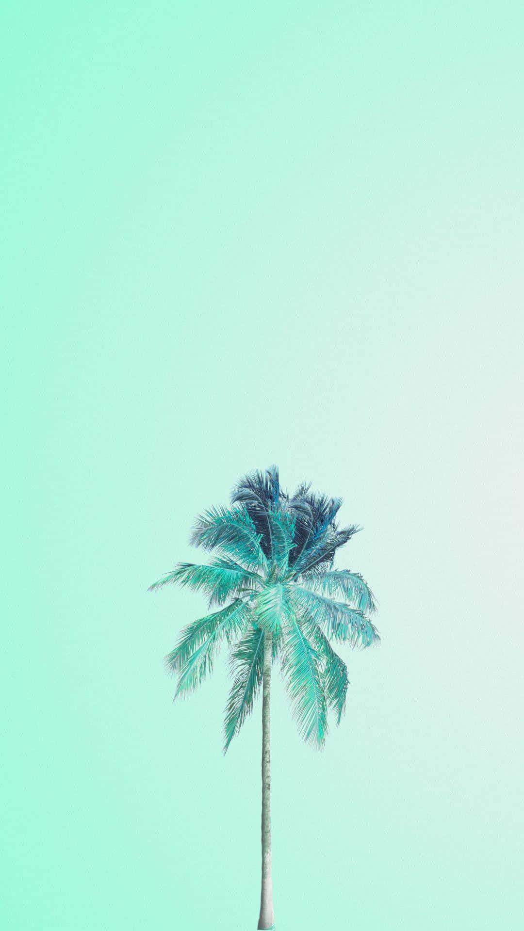 Cute Pastel Green Wallpaper