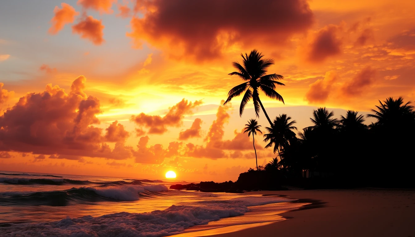 Tropical Beach Sunset Wallpaper